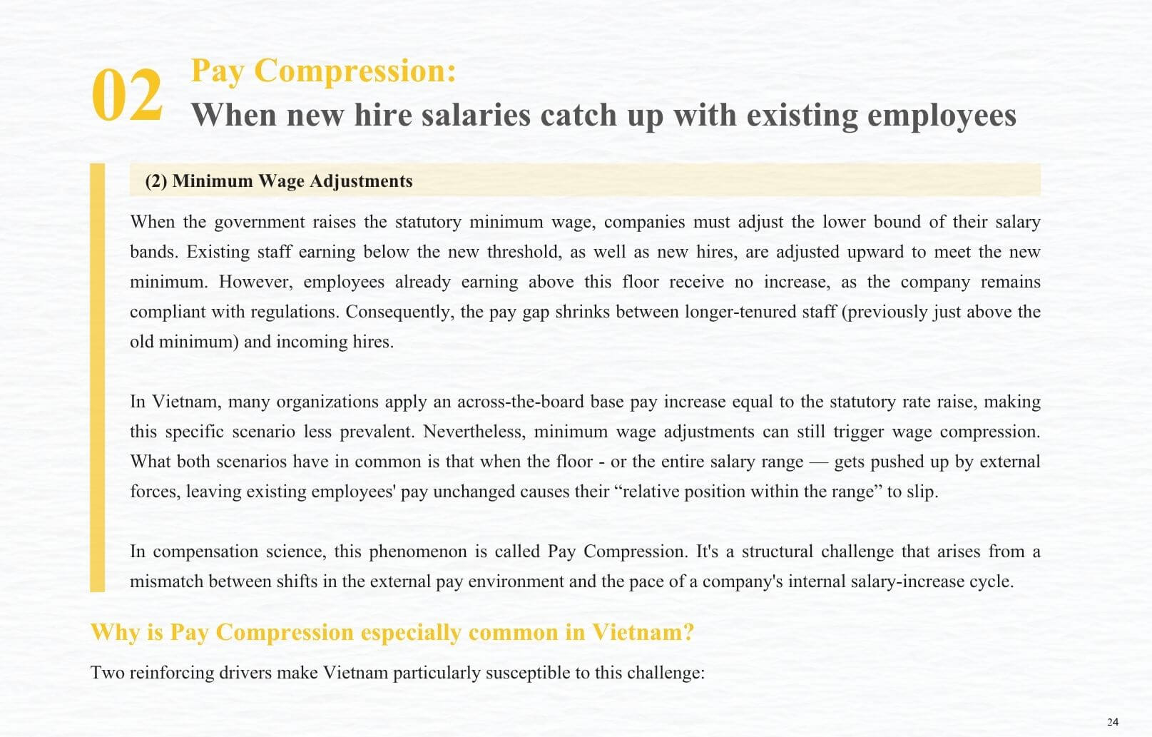 【E-book】 Vietnam Compensation Strategy 10 key issues that define HR Decision-making