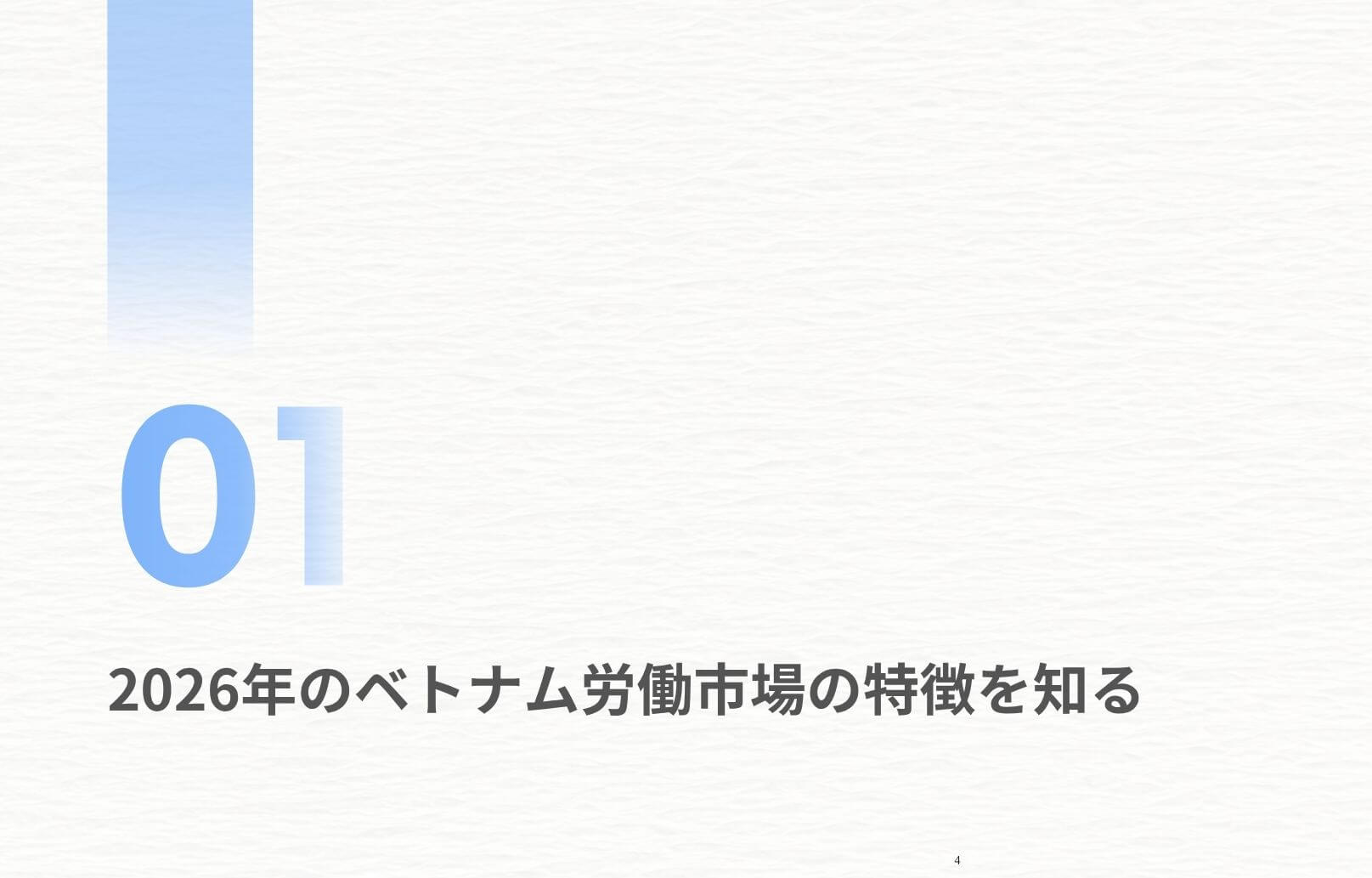 【E-book】ベトナム報酬戦略の10の論点